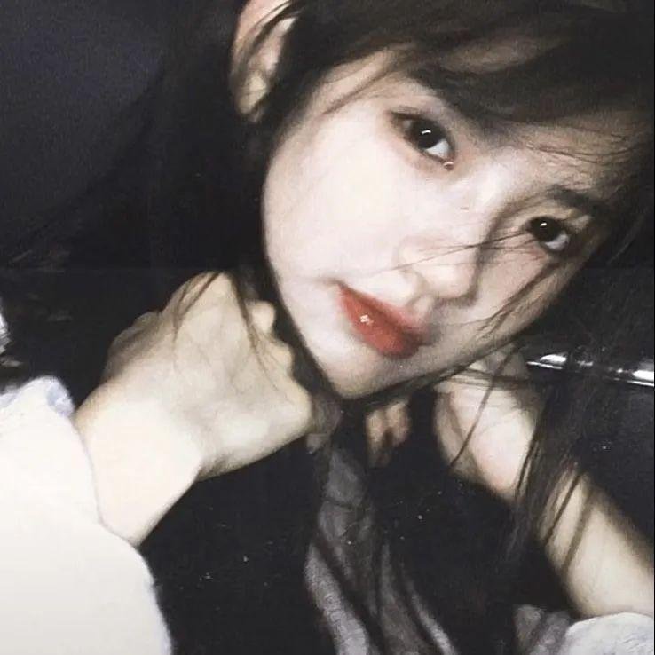 一只龟的进化史